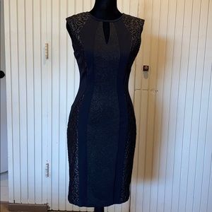 Cache Dress , Size 4